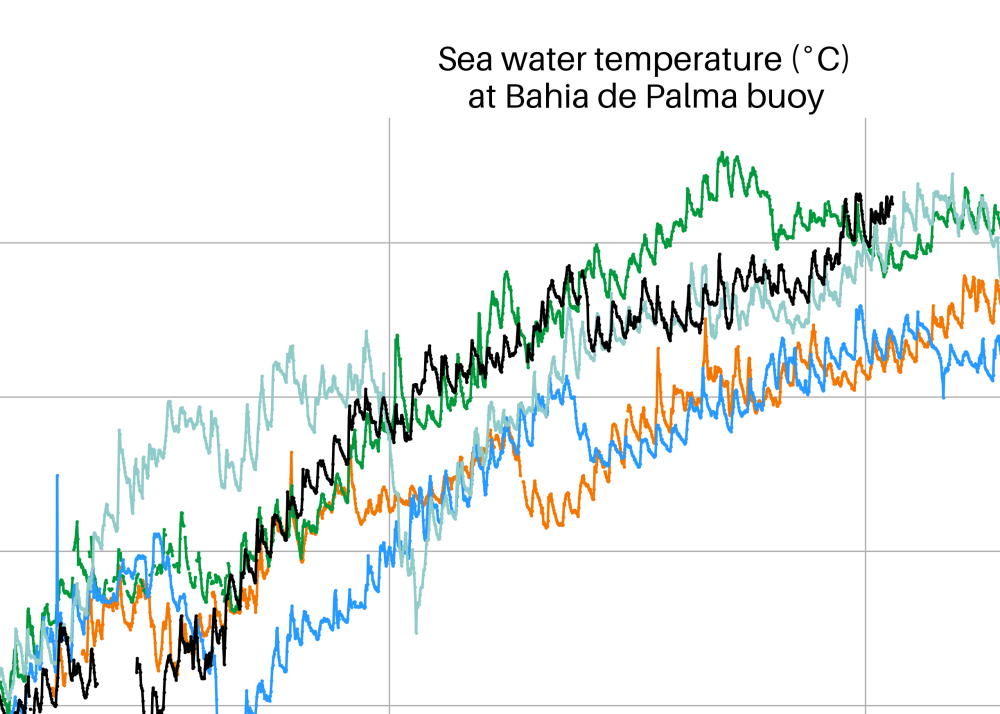 Sea water temperature in Mallorca