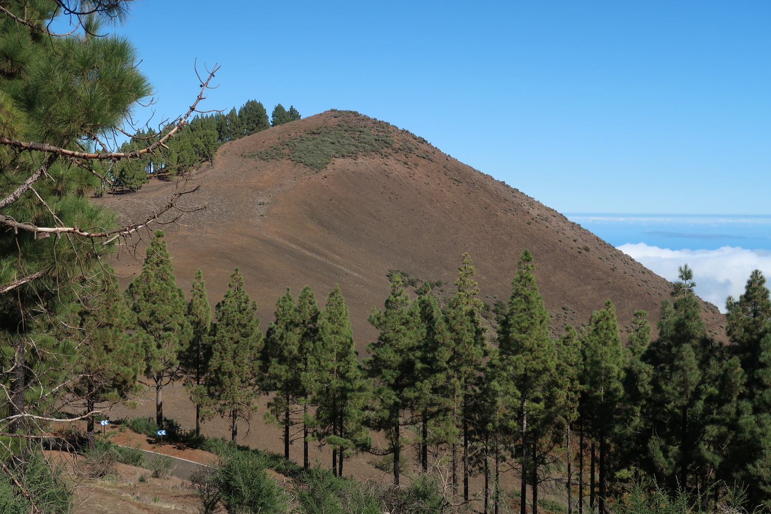 Montañón Negro